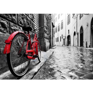 Lais Puzzle - Retro Vintage rotes Fahrrad auf Kopfsteinpflaster Straße in der Altstadt. Farbe in schwarz-weiß - 100, 200, 500 & 1.000 Teile