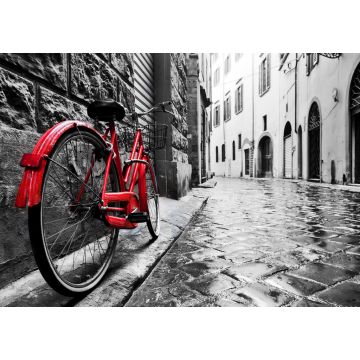Lais Puzzle - Retro Vintage rotes Fahrrad auf Kopfsteinpflaster Straße in der Altstadt. Farbe in schwarz-weiß - 1.000 Teile