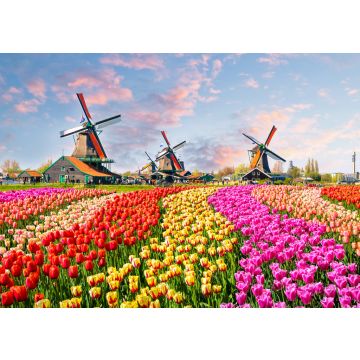 Lais Puzzle - Landschaft mit Tulpen in Zaanse Schans, Niederlande, Europa - 100, 200, 500 & 1.000 Teile
