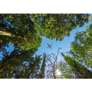 Lais Puzzle - Flugzeug über Bäumen - 100, 200, 500 & 1.000 Teile