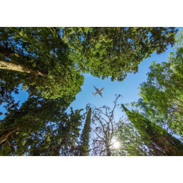 Lais Puzzle - Flugzeug über Bäumen - 1.000 Teile