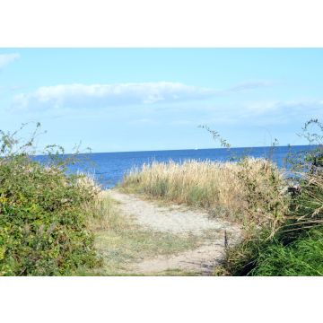 Lais Puzzle - Strand auf Samsø - 100, 200, 500 & 1.000 Teile