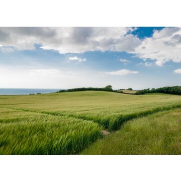 Lais Puzzle - Die Aussicht von Vejrhoej - Odsherred - 100, 200, 500 & 1.000 Teile