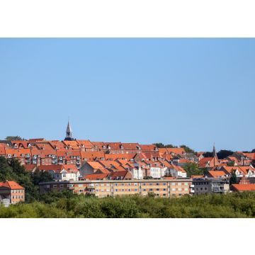 Lais Puzzle - Rotes Dach in der Stadt Randers Dänemark - 100, 200, 500 & 1.000 Teile