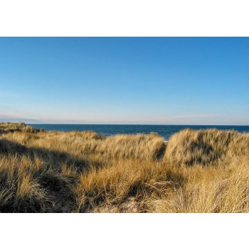 Lais Puzzle - Romantisches Refugium in der Dünenlandschaft der dänischen Insel Læsø. Prächtige Aussicht auf das glatte Wasser des Kattegatt - 100, 200, 500 & 1.000 Teile
