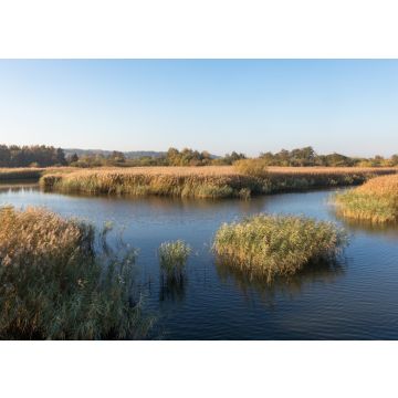 Lais Puzzle - Schöner Fluss Gudenaa bei Randers, Dänemark. Ruhiges Wasser, blauer Himmel. - 100, 200, 500 & 1.000 Teile