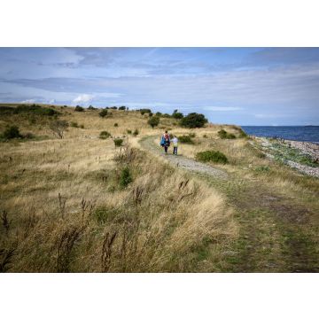 Lais Puzzle - Landschaft auf Fyns Hoved - 100, 200, 500 & 1.000 Teile
