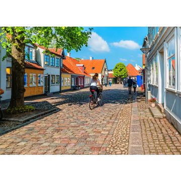 Lais Puzzle - Bunte traditionelle Häuser in der Altstadt von Odense, Dänemark - 100, 200, 500 & 1.000 Teile