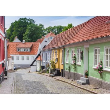 Lais Puzzle - Panorama einer Straße mit kleinen bunten Häusern in Haderslev, Dänemark - 1.000 Teile