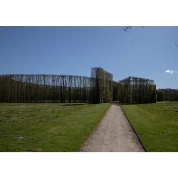 Lais Puzzle - Der Geometrische Garten in Herning, Dänemark - 100, 200, 500 & 1.000 Teile