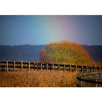 Lais Puzzle - Holzbrücke Skive Dänemark - 100, 200, 500 & 1.000 Teile