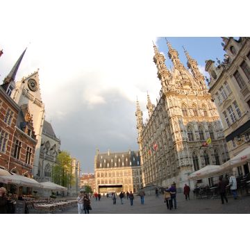 Lais Puzzle - Alter Markt Leuven, Belgien - 100, 200, 500 & 1.000 Teile