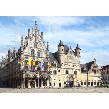 Lais Puzzle - Stadhuis, Rathaus von Mechelen, Belgien - 100, 200, 500 & 1.000 Teile