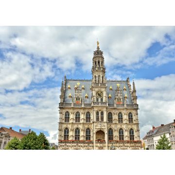 Lais Puzzle - Äußeres des mittelalterlichen gotischen Rathauses von Oudenaarde, Belgien - 100, 200, 500 & 1.000 Teile
