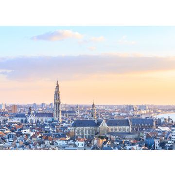 Lais Puzzle - Blick über Antwerpen mit der Kathedrale Unserer Lieben Frau aufgenommen - 100, 200, 500 & 1.000 Teile