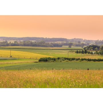 Lais Puzzle - Sonnenuntergang über einer grünen Landschaft mit Schafen und einem kleinen Dorf im Frühling. Tienen, Flandern Belgien - 100, 200, 500 & 1.000 Teile
