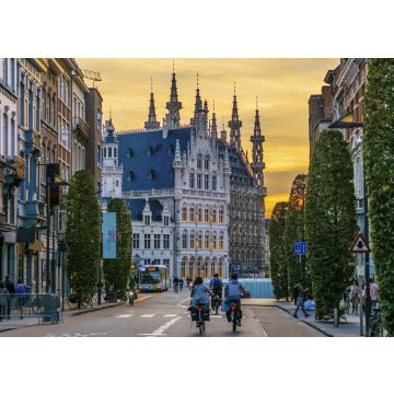 Lais Puzzle - Leuven, Belgien Blick auf die Kuppeln des Historischen Rathauses von Leuven, bei Bondgenotenlaan, goldener Sonnenuntergang - 100, 200, 500 & 1.000 Teile