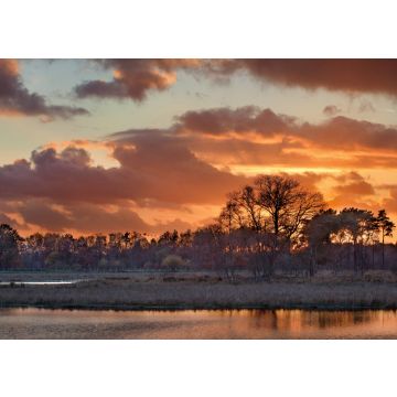 Lais Puzzle - Schöner roter Sonnenuntergang in einem Feuchtgebiet, Turnhout, Belgien - 100, 200, 500 & 1.000 Teile