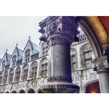 Lais Puzzle - Historischer Palast im Zentrum von Lüttich - 100, 200, 500 & 1.000 Teile