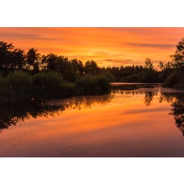 Lais Puzzle - Sonnenuntergang im Nationalpark in der Nähe von Waterschei in Genk, Belgien, mit erstaunlichen Farben am Himmel. Der Park ist ein ehemaliges Bergbaugebiet mit fantastischen Aussichten - 100, 200, 500 & 1.000 Teile