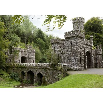 Lais Puzzle - Türme und Eingang von Ballysaggartmore in Waterford in Irland - 100, 200, 500 & 1.000 Teile