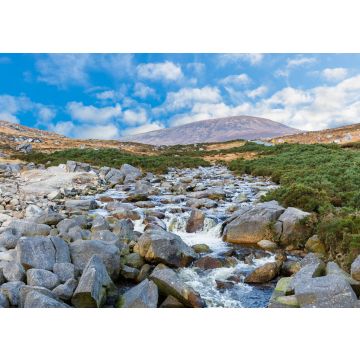 Lais Puzzle - Schöne irische Landschaft in den Wicklow-Bergen - 100, 200, 500 & 1.000 Teile
