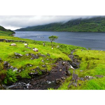 Lais Puzzle - Killary Harbour, Irland - 100, 200, 500 & 1.000 Teile