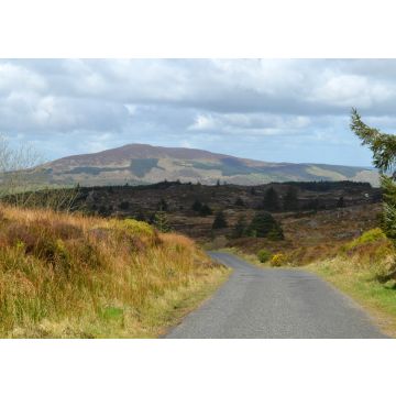 Lais Puzzle - Slieve Gullion vom Black Mountain, Cooley Mountains, Grafschaft Louth, Irland - 100, 200, 500 & 1.000 Teile