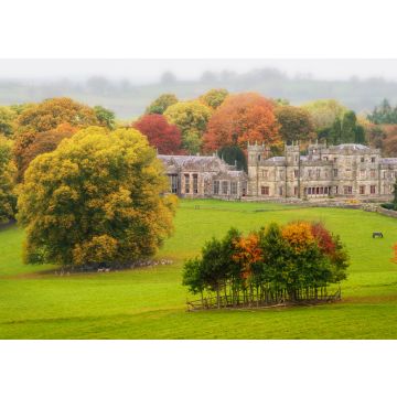 Lais Puzzle - Zurück in die Vergangenheit: unter einem grauen Himmel an einem herrlichen Herbstmorgen, allein in einem Park, der nur von Rehen, Pferden und Kühen begleitet wird, Lough Fea, Carrickmacross, County Monaghan, Irland - 100, 200, 500 & 1.000...