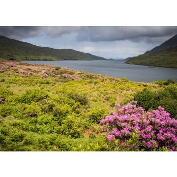 Lais Puzzle - Killary Harbour, Irland - 100, 200, 500 & 1.000 Teile