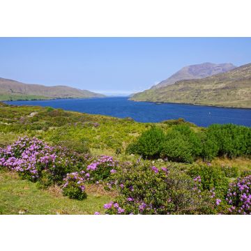 Lais Puzzle - Killary Harbour, Irland - 100, 200, 500 & 1.000 Teile