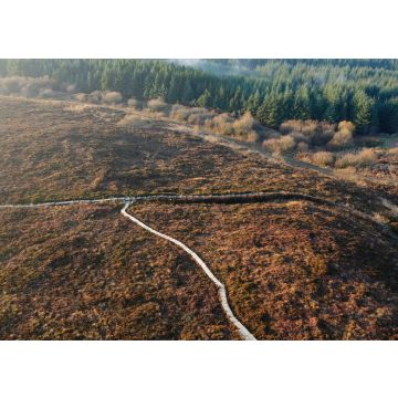 Lais Puzzle - Boardwalk-Wanderweg in den Slieve Bloom Mountains in Irland - 100, 200, 500 & 1.000 Teile