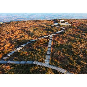 Lais Puzzle - Boardwalk-Wanderweg in den Slieve Bloom Mountains in Irland - 100, 200, 500 & 1.000 Teile
