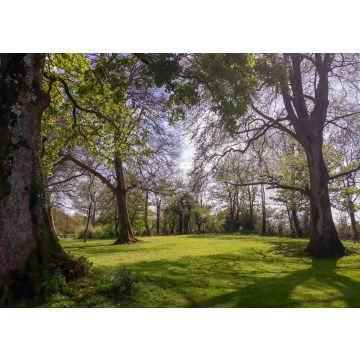 Lais Puzzle - Longford, Irland - 100, 200, 500 & 1.000 Teile