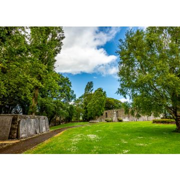 Lais Puzzle - Garten mit grünem Gras, Bäumen und einem Weg auf dem Abbey Graveyard im Dorf Athlone, einem wunderschönen sonnigen Frühlingstag in der Grafschaft Westmeath, Irland - 100, 200, 500 & 1.000 Teile
