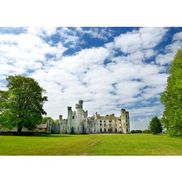 Lais Puzzle - Die Türme und Türmchen von Ducketts Grove, einer Hausruine aus dem 19. Jahrhundert in der Grafschaft Carlow, Irland - 100, 200, 500 & 1.000 Teile