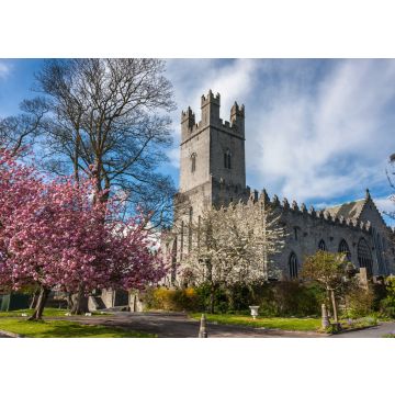 Lais Puzzle - Kirschblüte im Frühling in Limerick, Irland - 100, 200, 500 & 1.000 Teile