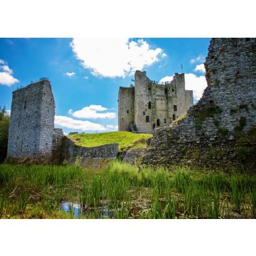 Lais Puzzle - Ein Panoramablick auf die Burg Trim in der Grafschaft Meath am Fluss Boyne, Irland. Es ist die größte anglonormannische Burg in Irland. - 100, 200, 500 & 1.000 Teile