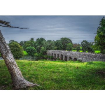 Lais Puzzle - Alte Bective Bridge aus dem 12. Jahrhundert mit Steinbogen über den Fluss Boyne mit großem Baumstamm, umgeben von grünen Feldern und Wäldern, Grafschaft Meath, Irland - 100, 200, 500 & 1.000 Teile