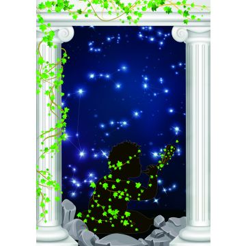 Lais Puzzle - Sterne - 100, 200, 500 & 1.000 Teile