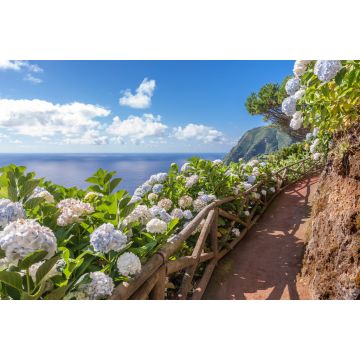 Lais Puzzle - Küstenweg mit Hortensien in Sao Miguel, Azoren Inseln - 2.000 Teile