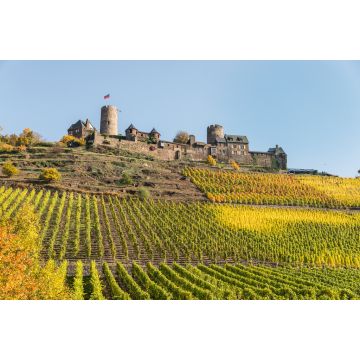 Lais Puzzle - Mosel - Burg Thurant mit Weinberg - 2.000 Teile