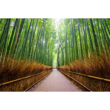 Lais Puzzle - Pfad zum Bambuswald, Arashiyama, Kyoto, Japan - 2.000 Teile
