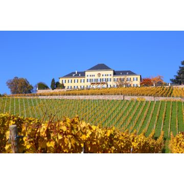 Lais Puzzle - Schloss Johannisberg im Rheingau - 2.000 Teile