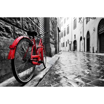 Lais Puzzle - Retro Vintage rotes Fahrrad auf Kopfsteinpflaster Straße in der Altstadt. Farbe in schwarz-weiß - 2.000 Teile