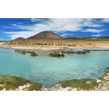 Lais Puzzle - Heiße Quellen "Polloquere" im Nationalpark "Salar de Surire" - 2.000 Teile