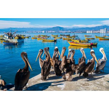 Lais Puzzle - Coquimbo, Chile - 2.000 Teile