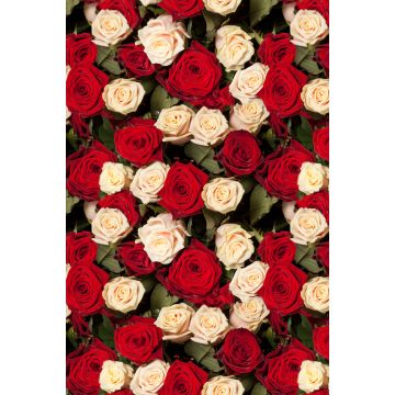 Lais Puzzle - Rosen - 2.000 Teile