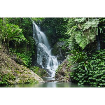 Lais Puzzle - Wasserfall im Lamington National Park in Queensland, Australien - 2.000 Teile