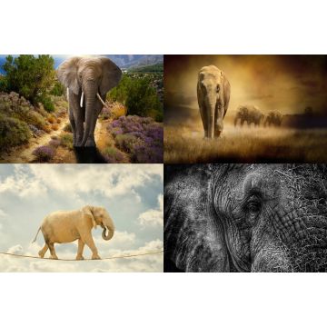 Lais Puzzle - Collage Elefanten - 2.000 Teile